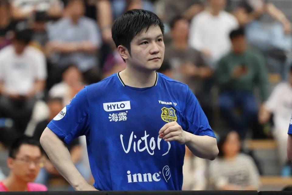 有着稳定的 有着稳定的