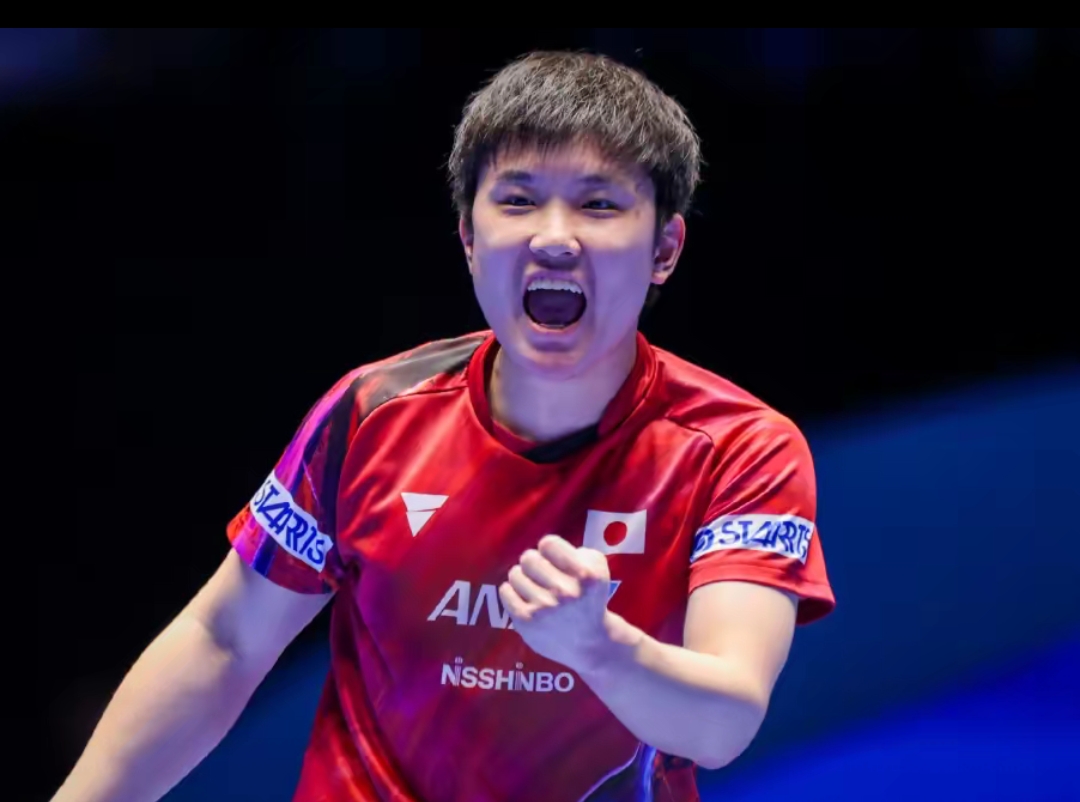 城市掀起了 城市掀起了