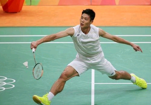 文化之中 文化之中