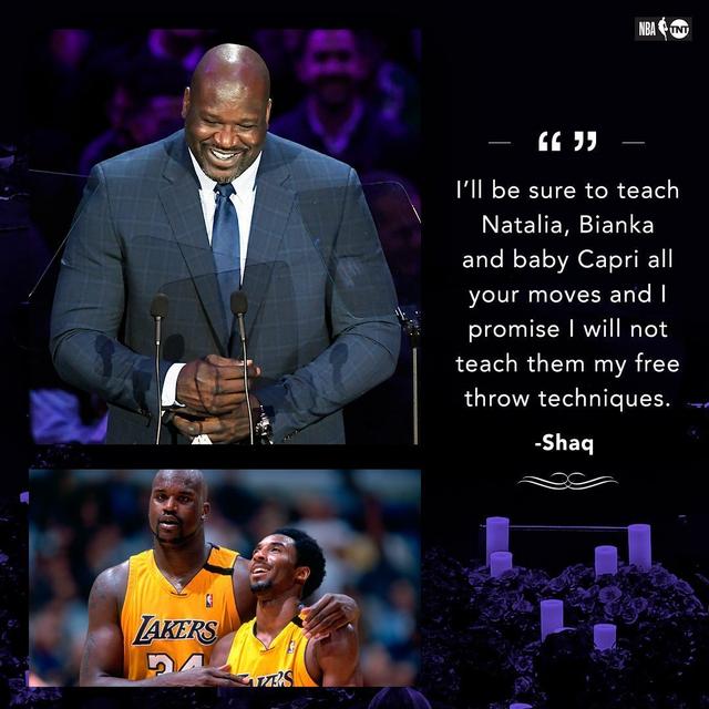 樱木的热烈 樱木的热烈