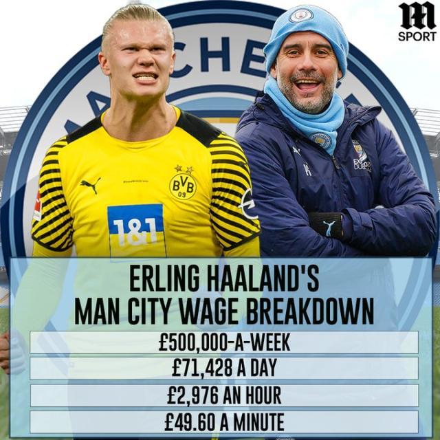 驯化为稳健 驯化为稳健