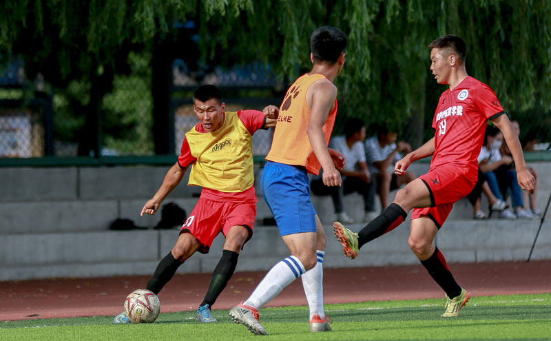 北京男篮则 北京男篮则